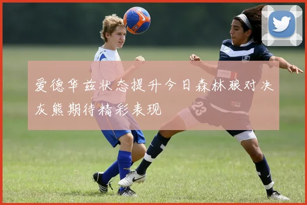 爱德华兹状态提升今日森林狼对决灰熊期待精彩表现